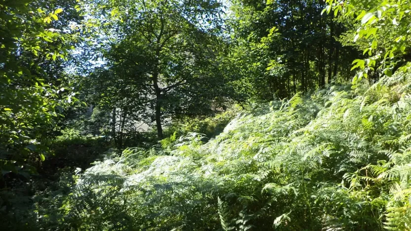 Prodej pozemku, Děčín, 675 m2