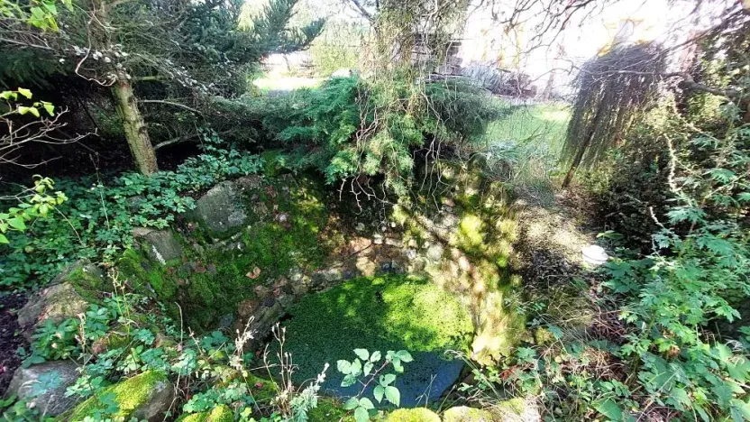 Prodej pozemku, Rybníky, 6544 m2