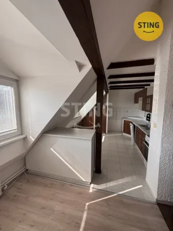 Pronájem bytu 2+1, Opava, 28. října, 105 m2