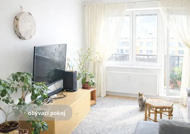 Prodej bytu 2+kk, České Budějovice, J. Bendy, 46 m2