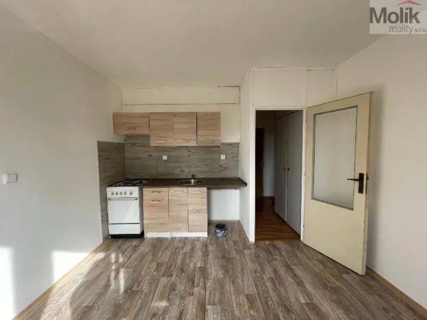 Pronájem bytu 1+1, Litvínov - Horní Litvínov, B. Němcové, 35 m2