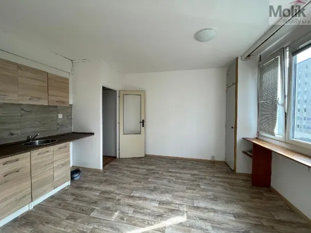 Pronájem bytu 1+1, Litvínov - Horní Litvínov, B. Němcové, 35 m2