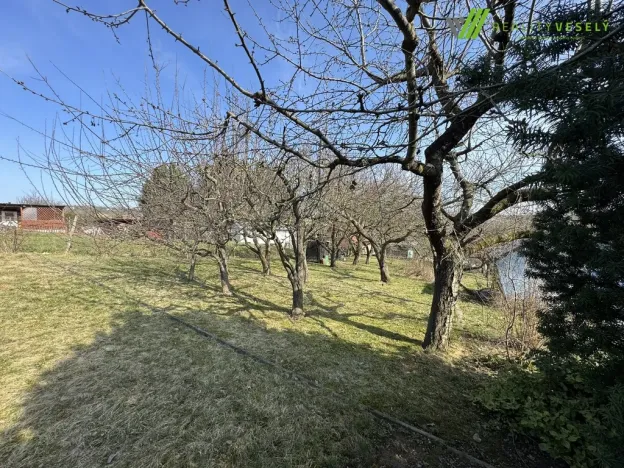 Prodej zahrady, Dyje, 511 m2