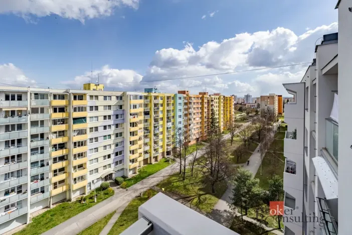 Prodej bytu 1+1, České Budějovice - České Budějovice 2, Vodňanská, 43 m2