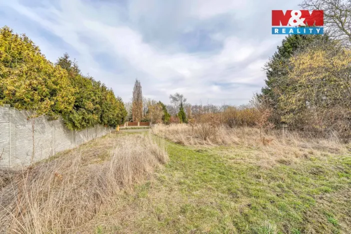 Prodej pozemku pro bydlení, Radějovice - Olešky, 1016 m2