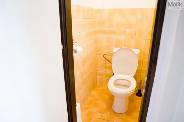 Prodej vícegeneračního domu, Dubí - Bystřice, Ležáky, 291 m2