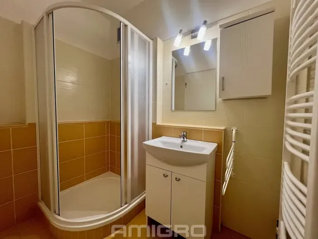 Pronájem bytu 3+1, Brno, Veletržní, 66 m2