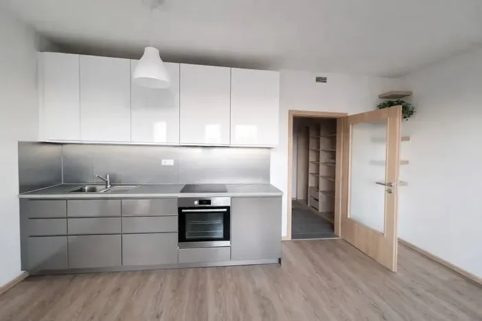 Pronájem bytu 1+kk, Plav, 40 m2