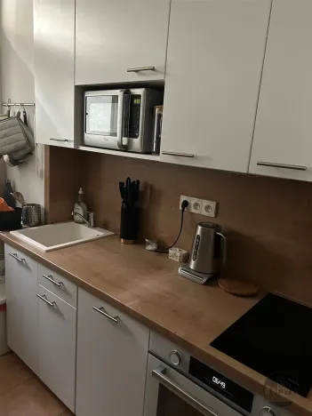 Pronájem atypického bytu, Praha - Karlín, Kollárova, 47 m2