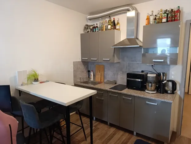 Pronájem bytu 1+kk, Praha - Vysočany, Strnadových, 16913 m2