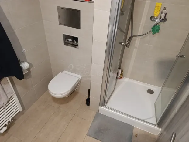 Pronájem bytu 1+kk, Praha - Vysočany, Strnadových, 16913 m2