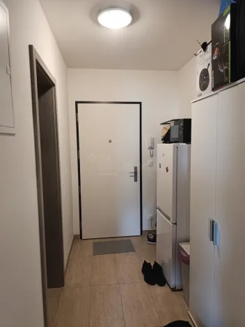 Pronájem bytu 1+kk, Praha - Vysočany, Strnadových, 34 m2