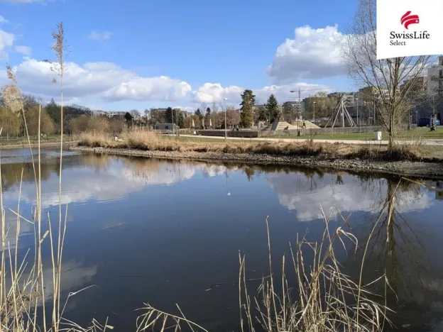 Prodej bytu 3+1, Praha - Vysočany, Nemocniční, 83 m2