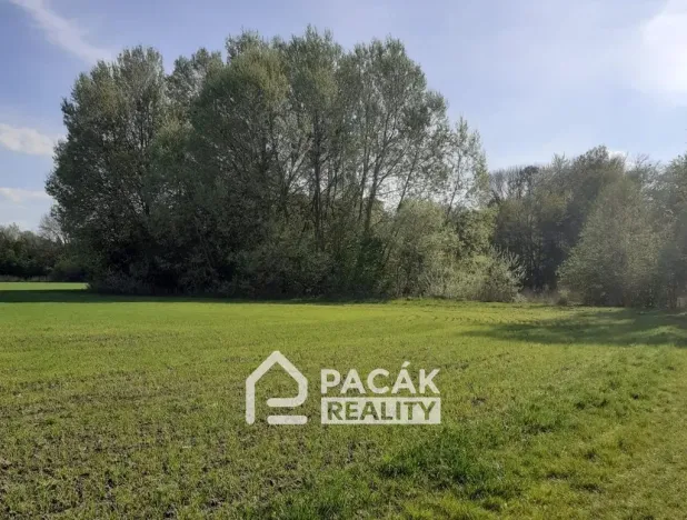 Prodej pole, Kožušany-Tážaly - Kožušany, 15995 m2