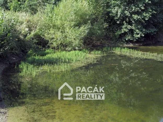 Prodej pole, Kožušany-Tážaly - Kožušany, 15995 m2