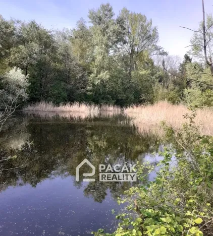 Prodej pole, Kožušany-Tážaly - Kožušany, 15995 m2