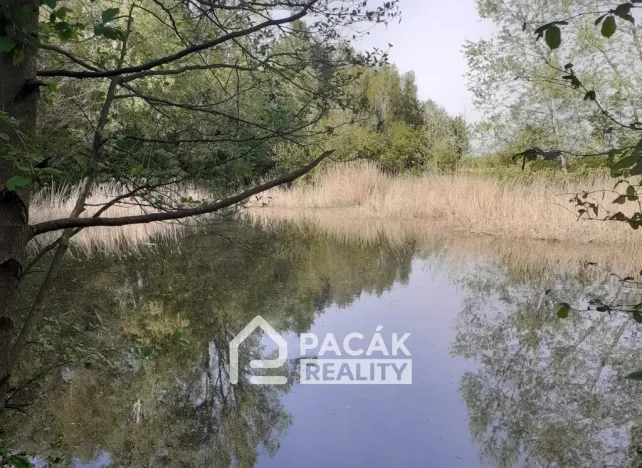 Prodej pole, Kožušany-Tážaly - Kožušany, 15995 m2