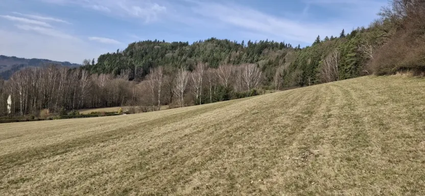 Prodej louky, Ústí nad Orlicí - Kerhartice, 49647 m2