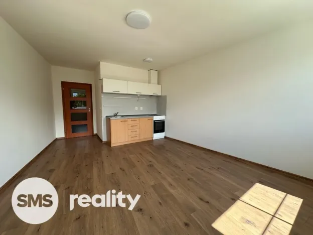 Pronájem bytu 1+kk, Opava, Hálkova, 33 m2