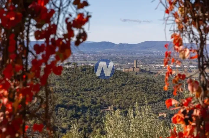 Prodej vily, Castiglion Fiorentino,Itálie, 183 m2