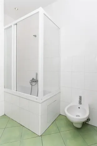 Pronájem bytu 4+1, Praha - Vinohrady, Anny Letenské, 160 m2