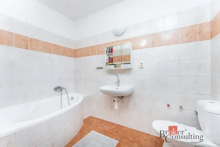 Prodej rodinného domu, Nechanice - Staré Nechanice, 180 m2