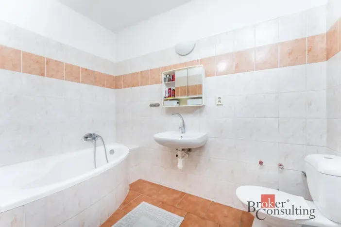 Prodej rodinného domu, Nechanice - Staré Nechanice, 180 m2