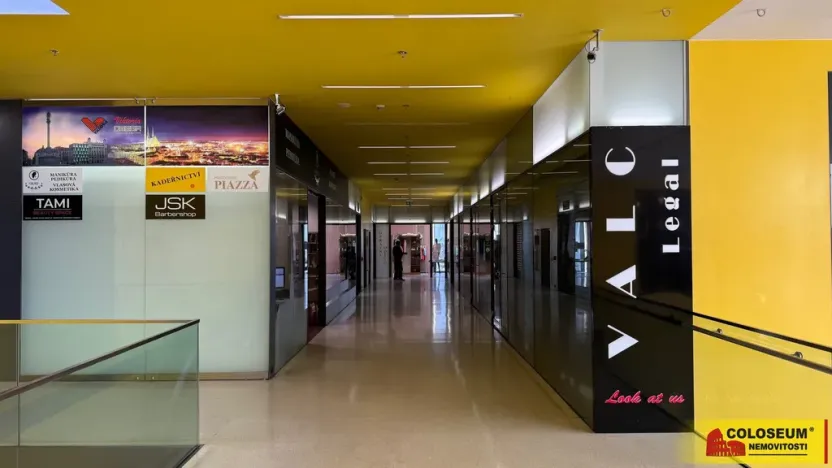 Pronájem obchodního prostoru, Brno - Brno-město, 1100 m2