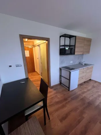 Pronájem bytu 1+kk, Praha - Suchdol, Suchdolské náměstí, 23 m2