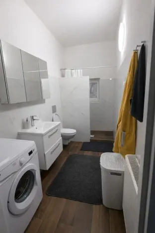 Pronájem bytu 2+1, Ústí nad Labem - Střekov, Železničářská, 56 m2