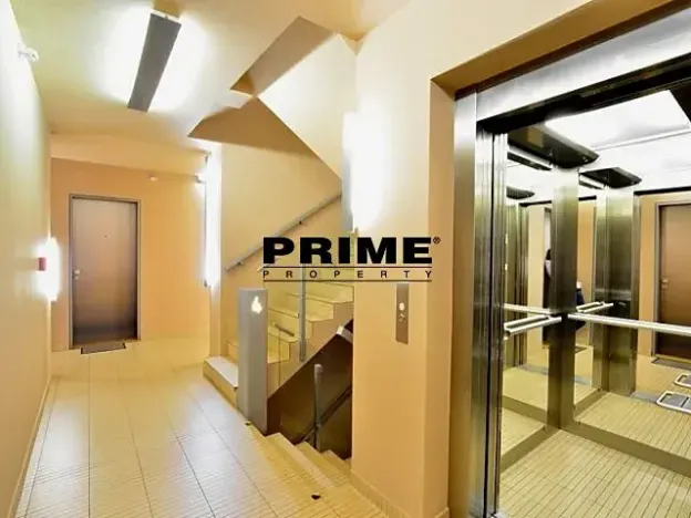 Pronájem bytu 2+kk, Praha - Žižkov, Prokopova, 56 m2