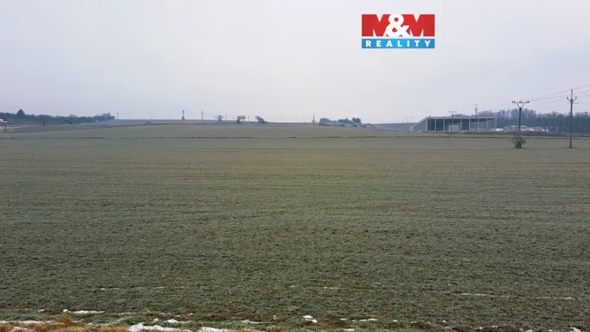 Prodej pozemku pro bydlení, Hrušovany nad Jevišovkou, Drnholecká, 3683 m2