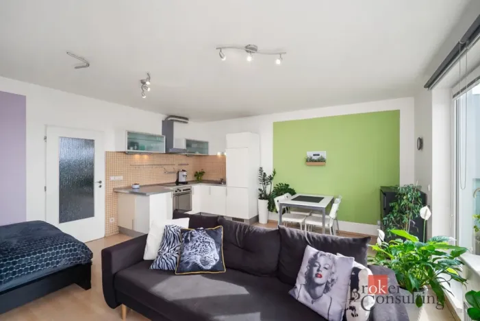 Prodej bytu 1+kk, Praha - Michle, Novobohdalecká, 42 m2