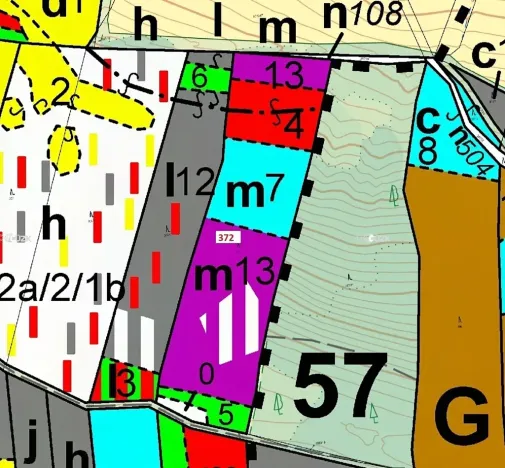 Dražba lesa, Záhoří, 16547 m2