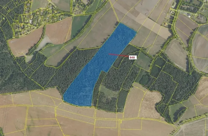 Dražba lesa, Nové Dvory, 81658 m2