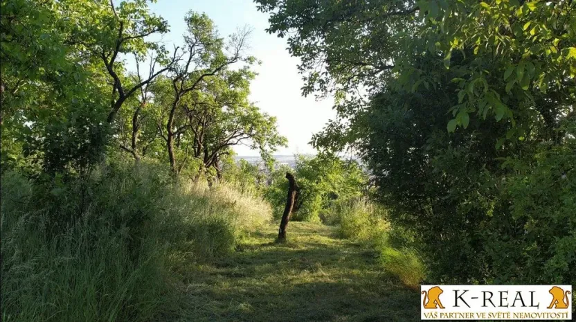 Prodej zahrady, Brno - Židenice, 1227 m2