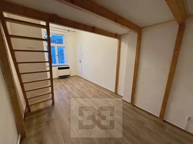 Pronájem bytu 2+1, Praha - Žižkov, Hartigova, 38 m2