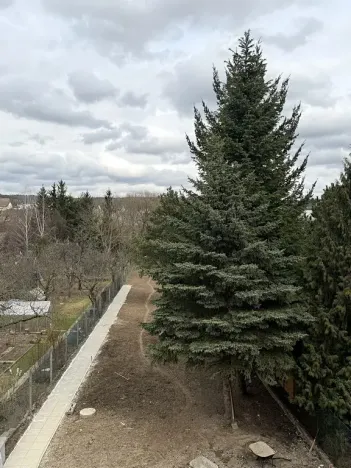 Prodej bytu 3+kk, Česká, 99 m2