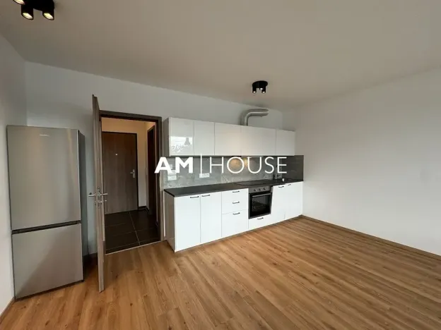 Pronájem bytu 1+kk, Praha, Nad vodovodem, 45 m2