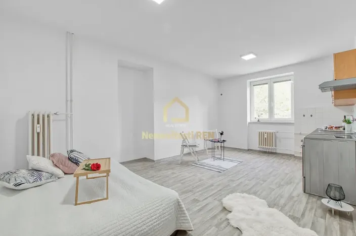Prodej bytu 2+kk, Ostrava, Alšovo náměstí, 51 m2