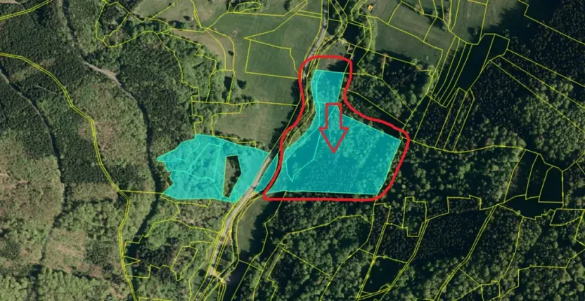 Prodej lesa, Huslenky, 29988 m2