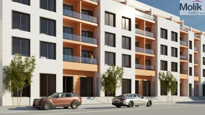 Prodej bytu 2+kk, Golem, 87 m2