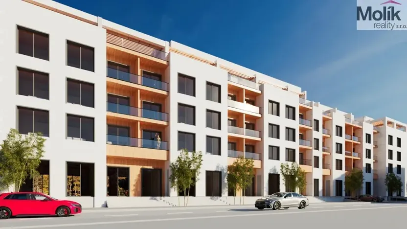 Prodej bytu 2+kk, Golem, 87 m2