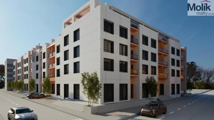 Prodej bytu 2+kk, Golem, 87 m2