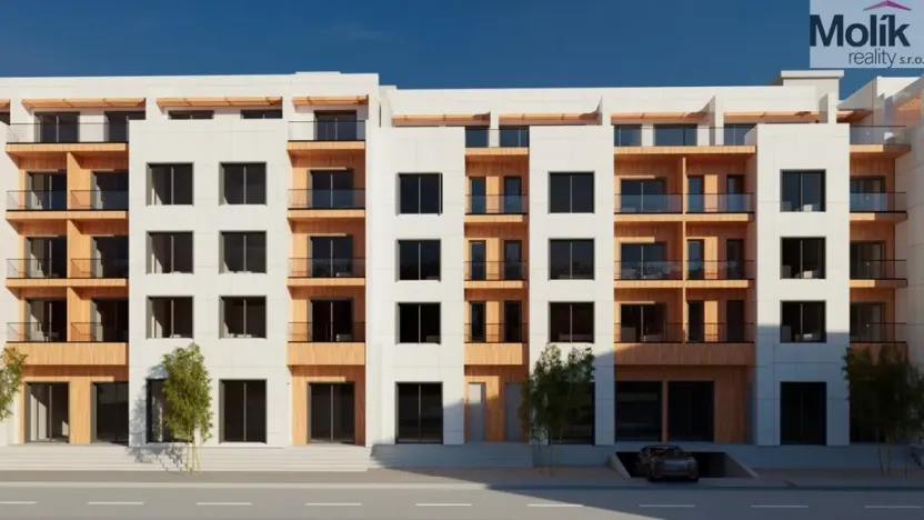 Prodej bytu 2+kk, Golem, 87 m2