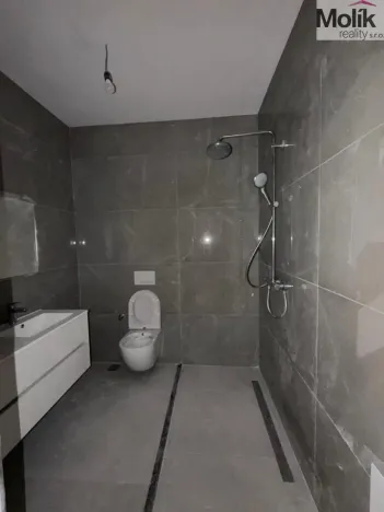 Prodej bytu 3+kk, Golem, 151 m2