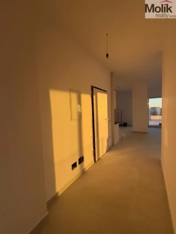 Prodej bytu 3+kk, Golem, 151 m2