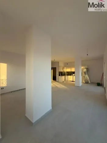 Prodej bytu 3+kk, Golem, 151 m2