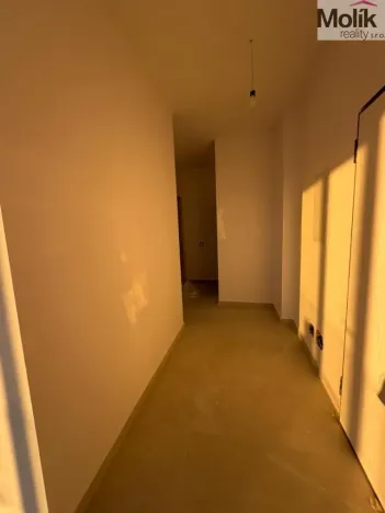 Prodej bytu 3+kk, Golem, 151 m2