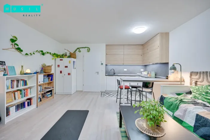 Pronájem bytu 1+kk, Uničov, Pionýrů, 30 m2